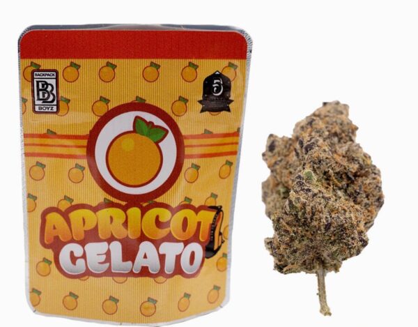 Buy Apricot Gelato Backpackboyz Onlin