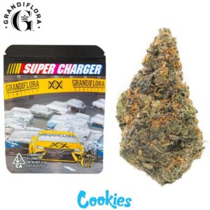 Buy Super Charger Strain by Grandiflora