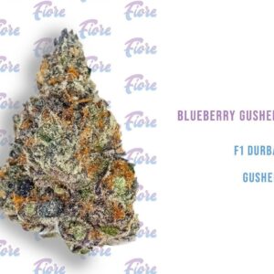 Buy Blueberry Gushers Strain by Fiore Online