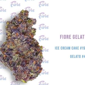 Buy Gelato Strain by Fiore Online