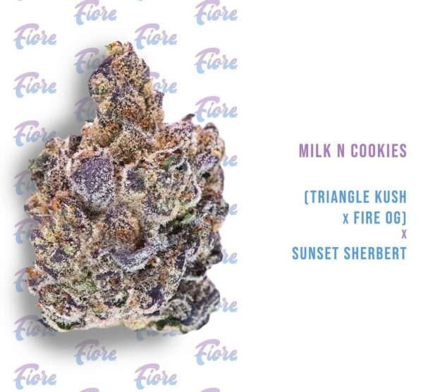 Buy Milk N Cookies Strain by Fiore Online