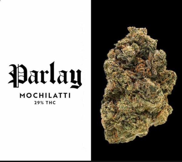 Buy Mochilatti Strain by Parlay Online