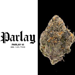 Buy Parlay 41 Strain Online