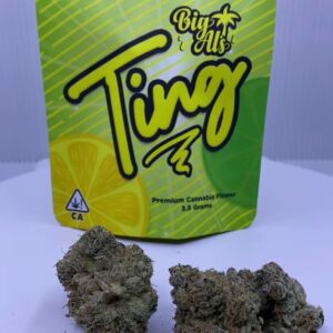 Buy Ting Strain by Big Als Online