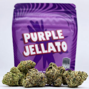 Buy Purple Jellato Strain by Seven Leaves