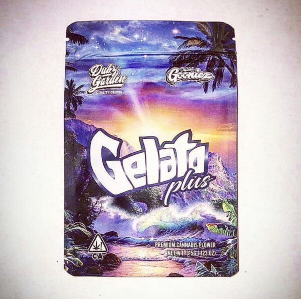 Buy Gelato Plus Strain by Dubz Garden