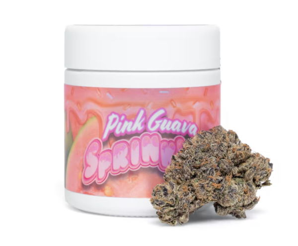 Pink Guava Sprinklez Strain for Sale Online