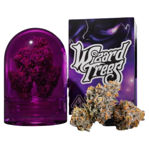 Buy Wizard Trees Route 65 Online